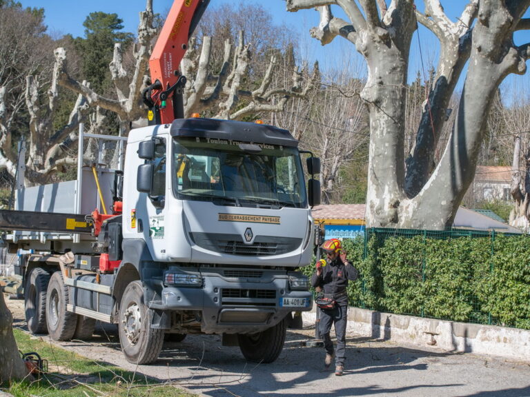 Mairie de Besse sur issole - élagage des platanes du lac