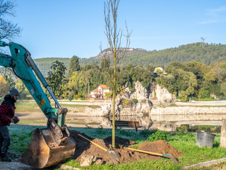 Mairie de besse sur issole - planatation d'arbres