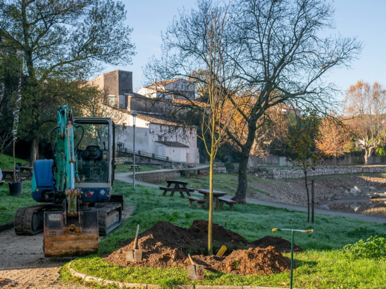 Mairie de besse sur issole - planatation d'arbres