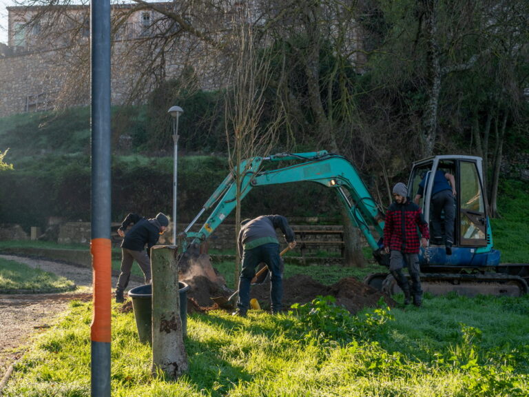 Mairie de besse sur issole - planatation d'arbres