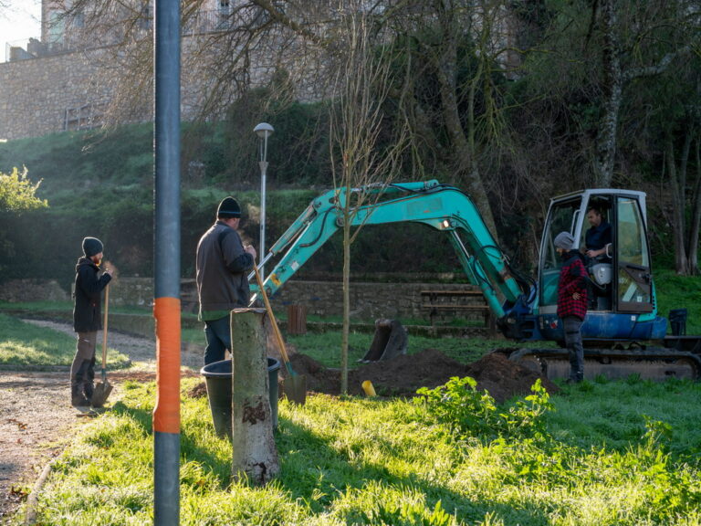 Mairie de besse sur issole - planatation d'arbres