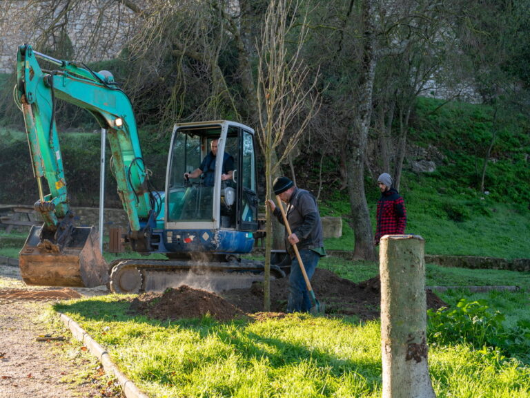 Mairie de besse sur issole - planatation d'arbres