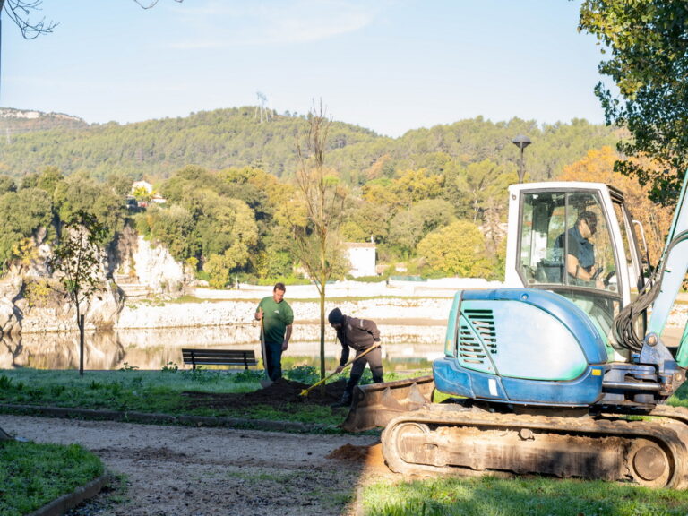 Mairie de besse sur issole - planatation d'arbres