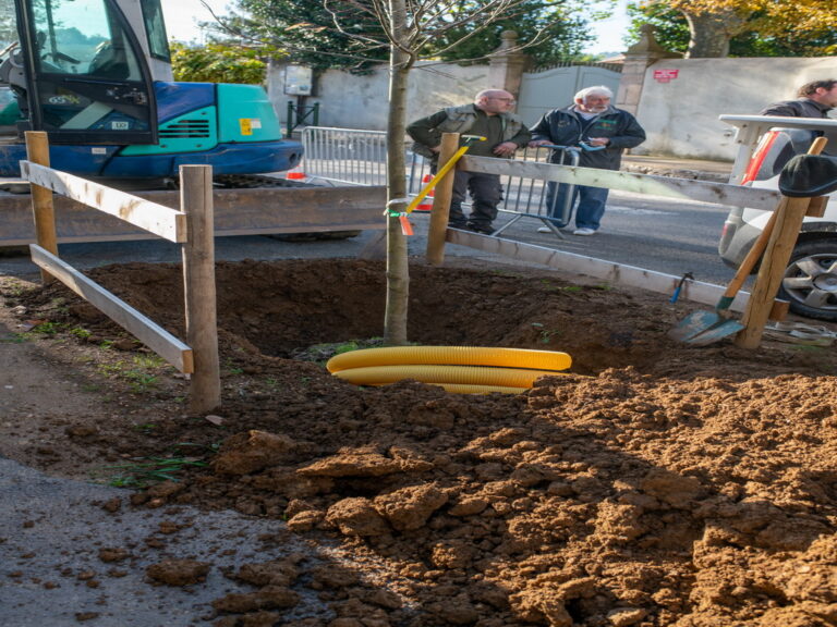 Mairie de besse sur issole - planatation d'arbres