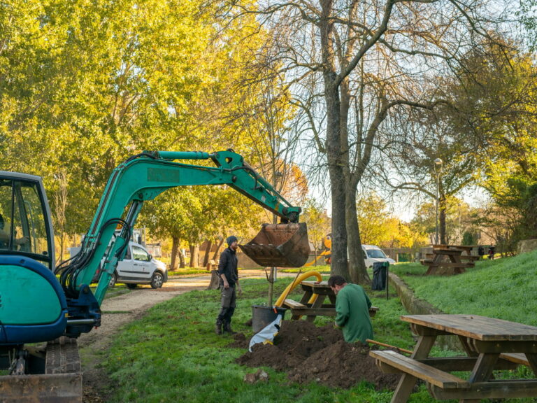 Mairie de besse sur issole - planatation d'arbres