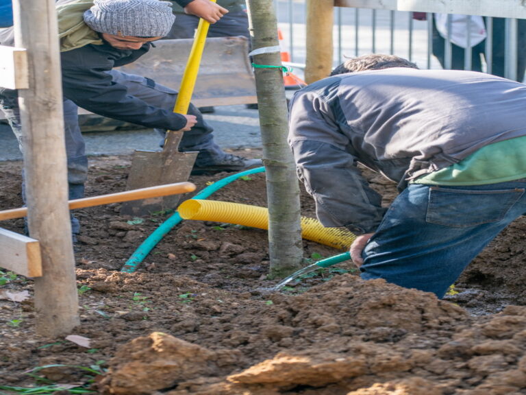 Mairie de besse sur issole - planatation d'arbres