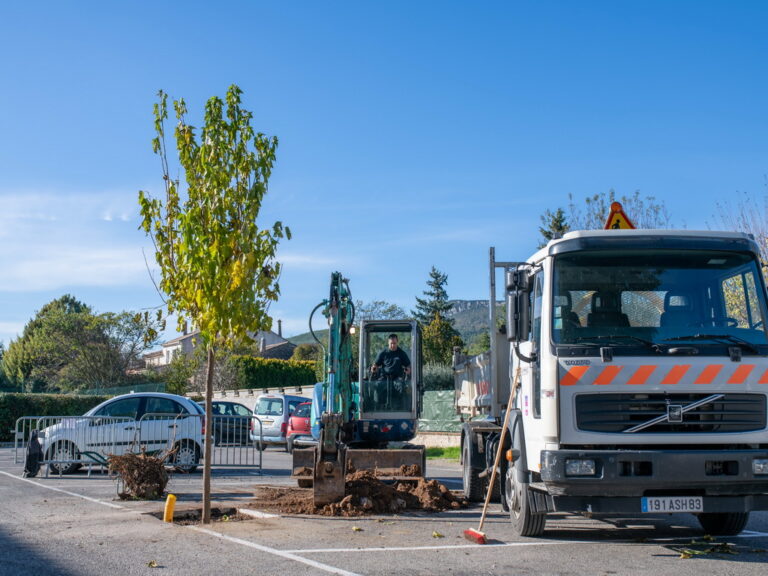 Mairie de besse sur issole - planatation d'arbres