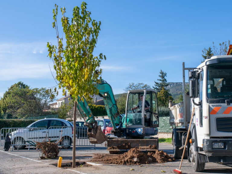 Mairie de besse sur issole - planatation d'arbres