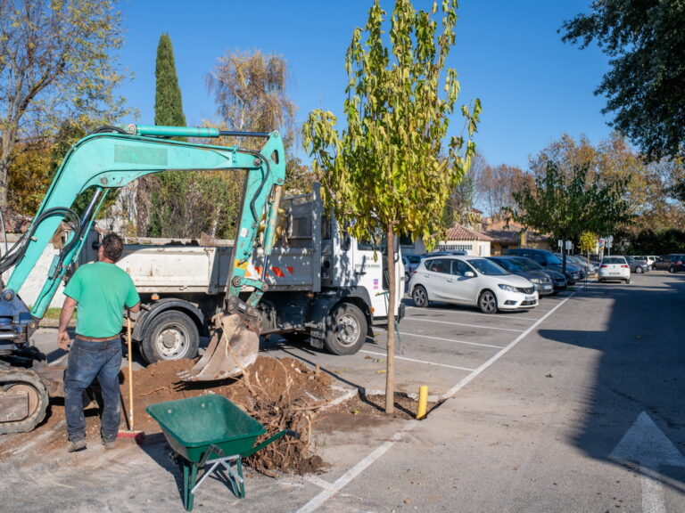 Mairie de besse sur issole - planatation d'arbres