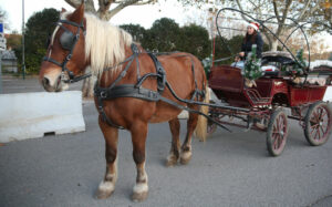 marché de noel Besse sur issole