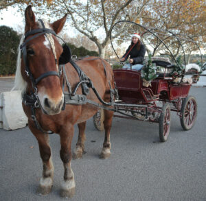 marché de noel Besse sur issole