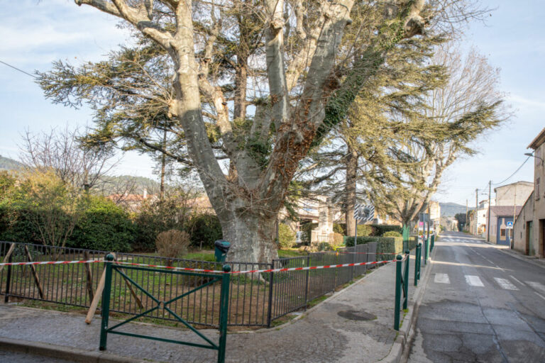 Monument aux morts Besse sur Issole