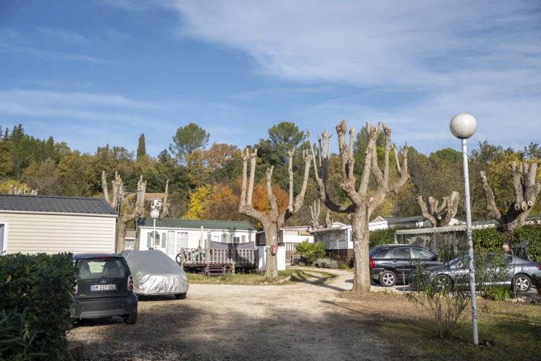 2024-11-28-_Elagage_camping__(5)